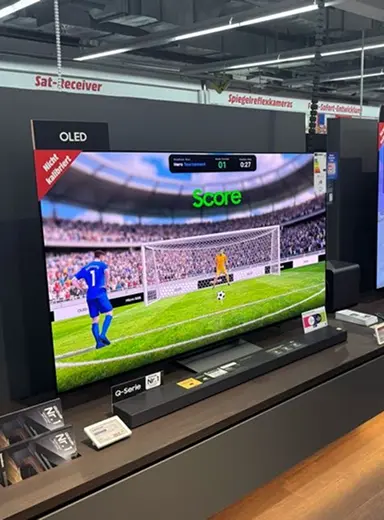 World Cup Game